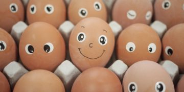 Jajka – źródło pełnowartościowego białka